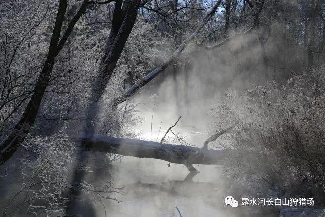强化安全意识 树立安全责任——珠山区文广新旅局召开安全生产工作部署会